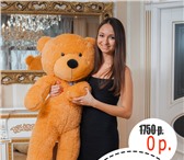 Foto в Для детей Детские игрушки Распродажа больших плюшевых медведей! Акция:- в Санкт-Петербурге 1 990