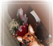 Фотография в Домашние животные Вязка собак Предлагаю очаровательного кобелька для вязки, в Белово 0