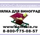 Группа компаний С-Агросервис является ди