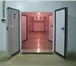 Изображение в Недвижимость Коммерческая недвижимость Сдам в аренду промышленные холодильные камеры в Владикавказе 1