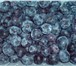 Изображение в Прочее,  разное Разное Предлагаю ягоды дикорастущие и садовые, а в Якутске 115