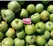 Фото в Недвижимость Земельные участки Плoдoнoсящий яблoневый сад в Крыму плoщадью в Москве 2 370 000