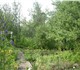Продам сад 6 соток. Мичурина 2 в черте г