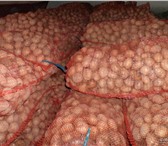 Фотография в Прочее,  разное Разное Реализуем картофель: опт и мелкий опт от в Ярославле 7
