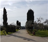 Фотография в Недвижимость Зарубежная недвижимость Местоположения Via Fossignano, Aprilia, Latina, в Москве 0