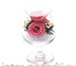 Изображение в Мебель и интерьер Другие предметы интерьера Натуральные цветы в вакуумных вазах - идеальный в Москве 500