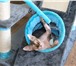 Foto в Домашние животные Вязка Красивый, ласковый, умненький котик! Приглашает в Пензе 3 000