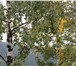 Foto в Отдых и путешествия Гостиницы, отели Дом туристического быта «Судовая гора» приглашает в Магнитогорске 1 500