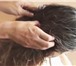 Изображение в Красота и здоровье Массаж Массаж волосистой части головы улучшает подкожные в Иваново 400