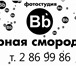 Изображение в Прочее,  разное Разное «Черная Смородина» - это профессиональная в Красноярске 1 500
