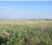 Фотография в Недвижимость Земельные участки п. Солонцы, ДНТ &quot;Ясная поляна&quot; в Красноярске 250 000