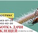 Фотография в Прочее,  разное Разное Акарицидная обработка участков от клещей в Серпухове 300