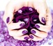 Изображение в Красота и здоровье Косметические услуги Приглашаю на покрытие ногтей гель- лаком в Липецке 200