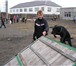 Foto в Прочее,  разное Разное Внимание!Дрессировка и воспитание собак опытными в Омске 0