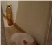 Фотография в Домашние животные Найденные 23 июля в районе 22 часов Нашла Белого кота, в Екатеринбурге 0