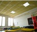 Изображение в Строительство и ремонт Отделочные материалы Потолочные и стеновые панели Celenit на 65% в Ставрополе 450