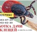 Изображение в Прочее,  разное Разное Акарицидная обработка участков от клещей в Орехово-Зуево 300