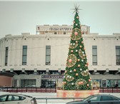 Изображение в Мебель и интерьер Другие предметы интерьера Компания Ru-Elka - предлагает новогодние в Москве 999