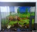 Изображение в Домашние животные Рыбки Срочно продам комнатный большой  аквариум в Нижнекамске 4 000