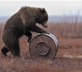 Фотография в Прочее,  разное Разное Выполним любой сложности переезд Всегда в в Краснодаре 170