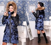 Foto в Одежда и обувь Женская одежда Элегантные женские пальто коллекций Осень-Зима в Чите 0