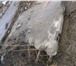 Foto в Строительство и ремонт Строительные материалы продам дорожные плиты паги 14 18 см . фото. в Москве 777