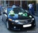 Изображение в Авторынок Аренда и прокат авто Аренда автомобиля Honda accord для комфортных в Нижнекамске 800