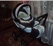 Изображение в Для детей Детские коляски продаётся дет коляска  marina пр во Польша в Рыбинске 4 000