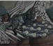 Фото в Домашние животные Вязка ищем для вязки с чистокровным британцем веслоухою в Орехово-Зуево 0