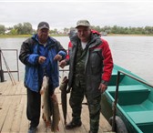 Foto в Развлечения и досуг Другие развлечения Рыболовно-охотничья база «капитан» приглашает в Астрахани 900