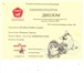 Фото в Домашние животные Вязка собак Предлагаю для вязки кобеля французского бульдога в Тюмени 16 000
