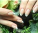 Foto в Красота и здоровье Косметические услуги Профессиональное наращивание ногтей гелем в Астрахани 600