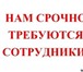 Foto в Работа Вакансии Умная, образованная, с приятным голосом девушка в Чите 28 000