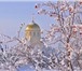 Foto в Недвижимость Аренда жилья Снимем дом в Оренбурге,на длительный срок,(от в Оренбурге 6 000