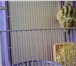 Фотография в Домашние животные Грызуны Продам бурундука описание:красивыйздоровыйпол-мужскойпродаю в Калуге 3 000