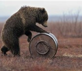 Фотография в Прочее,  разное Разное Выполним любой сложности переезд Всегда в в Краснодаре 170