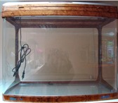 Foto в Домашние животные Рыбки Продам аквариум вместе с рыбкой (сом). Jebo в Вологде 3 500