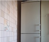 Изображение в Электроника и техника Холодильники Продается холодильник Lidherr, 55*60*180 в Оренбурге 8 700