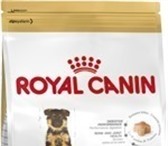 Изображение в Домашние животные Товары для животных Продается сухой корм фирмы Royal Canin Junior в Москве 3 200