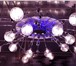 Foto в Мебель и интерьер Светильники, люстры, лампы Самые выгодные цены на люстры и светильники в Екатеринбурге 1 260