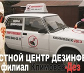 Фото в Прочее,  разное Разное Нами проводится эффективная борьба с клопами, в Видном 1 000