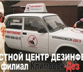 Фото в Прочее,  разное Разное Кроты изрыли весь ваш газон? Специалисты в Кубинка 1 000