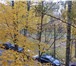 Изображение в Недвижимость Квартиры Так много за столь малую плату.• Гостеприимная в Санкт-Петербурге 3 950 000