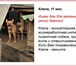 Собака в дар 2135243 Джек-рассел-терьер фото в Нижнем Новгороде