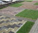 Фото в Строительство и ремонт Ландшафтный дизайн Мощение тротуарной плиткой и природным камнем. в Санкт-Петербурге 350