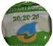 Фотография в Домашние животные Растения Плантафид, по Евростандарту, относится к в Тольятти 440