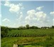 Фото в Недвижимость Земельные участки Отличный земельный участок 25 соток в Северском в Москве 550 000