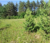 Фото в Недвижимость Земельные участки Продаётся земельный участок 20 соток в Коттеджном в Чехов-6 1 400 000