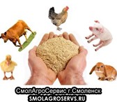 Foto в Домашние животные Корм для животных Мы продаем кормовые добавки, способные восполнить в Смоленске 25