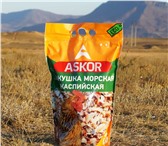 Фото в Прочее,  разное Разное Ракушка кормовая высушенная калиброванная в Москве 99